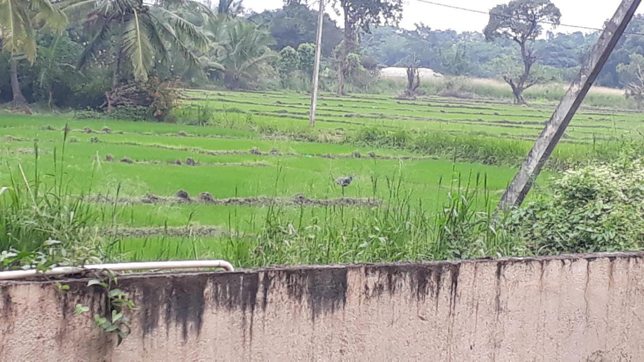Isiwara Paura Bugged Apartment Sigiriya Exterior foto